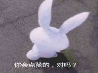 温州市鹿城区苗菱网络技术工作室