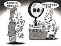 温州市鹿城区苗菱网络技术工作室