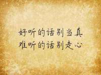 温州市鹿城区苗菱网络技术工作室