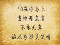 温州市鹿城区苗菱网络技术工作室