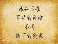 温州市鹿城区苗菱网络技术工作室