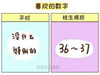 温州市鹿城区苗菱网络技术工作室