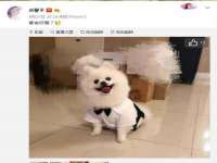 温州市鹿城区苗菱网络技术工作室