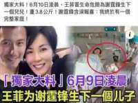 温州市鹿城区苗菱网络技术工作室