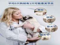 温州市鹿城区苗菱网络技术工作室