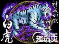 温州市鹿城区苗菱网络技术工作室