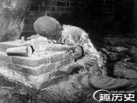 温州市鹿城区苗菱网络技术工作室
