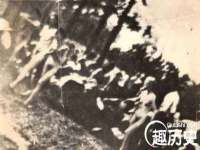 温州市鹿城区苗菱网络技术工作室