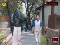 温州市鹿城区苗菱网络技术工作室