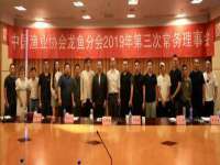 温州市鹿城区苗菱网络技术工作室
