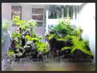 温州市鹿城区苗菱网络技术工作室
