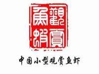 温州市鹿城区苗菱网络技术工作室