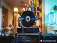 温州市鹿城区苗菱网络技术工作室