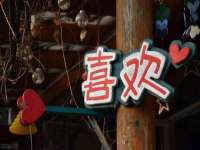 温州市鹿城区苗菱网络技术工作室