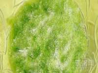 温州市鹿城区苗菱网络技术工作室