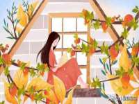 温州市鹿城区苗菱网络技术工作室