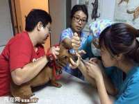 温州市鹿城区苗菱网络技术工作室