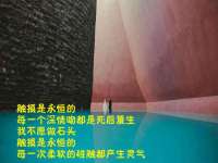温州市鹿城区苗菱网络技术工作室