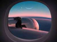温州市鹿城区苗菱网络技术工作室
