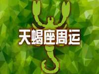 温州市鹿城区苗菱网络技术工作室