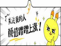 温州市鹿城区苗菱网络技术工作室