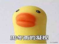温州市鹿城区苗菱网络技术工作室