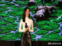 温州市鹿城区苗菱网络技术工作室