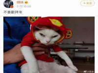 温州市鹿城区苗菱网络技术工作室