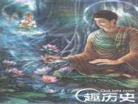 温州市鹿城区苗菱网络技术工作室
