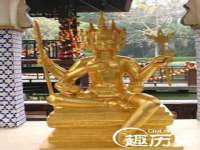 温州市鹿城区苗菱网络技术工作室