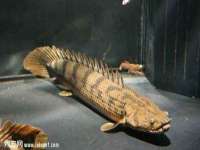 温州市鹿城区苗菱网络技术工作室