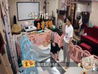 温州市鹿城区苗菱网络技术工作室