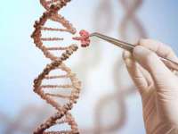 温州市鹿城区苗菱网络技术工作室