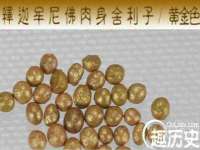 温州市鹿城区苗菱网络技术工作室