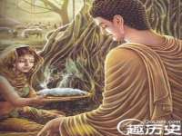 温州市鹿城区苗菱网络技术工作室